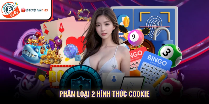 Phân loại 2 hình thức Cookie